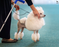 /album/mvp-bratislava-2025/mvp-bratislava-20251025-jutta-001-jpg1/